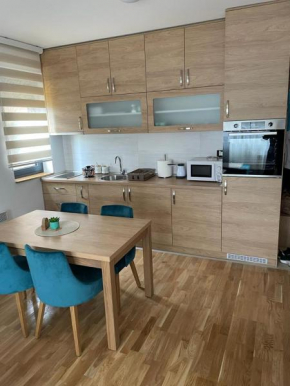 Apartment Nikolic Zlatibor